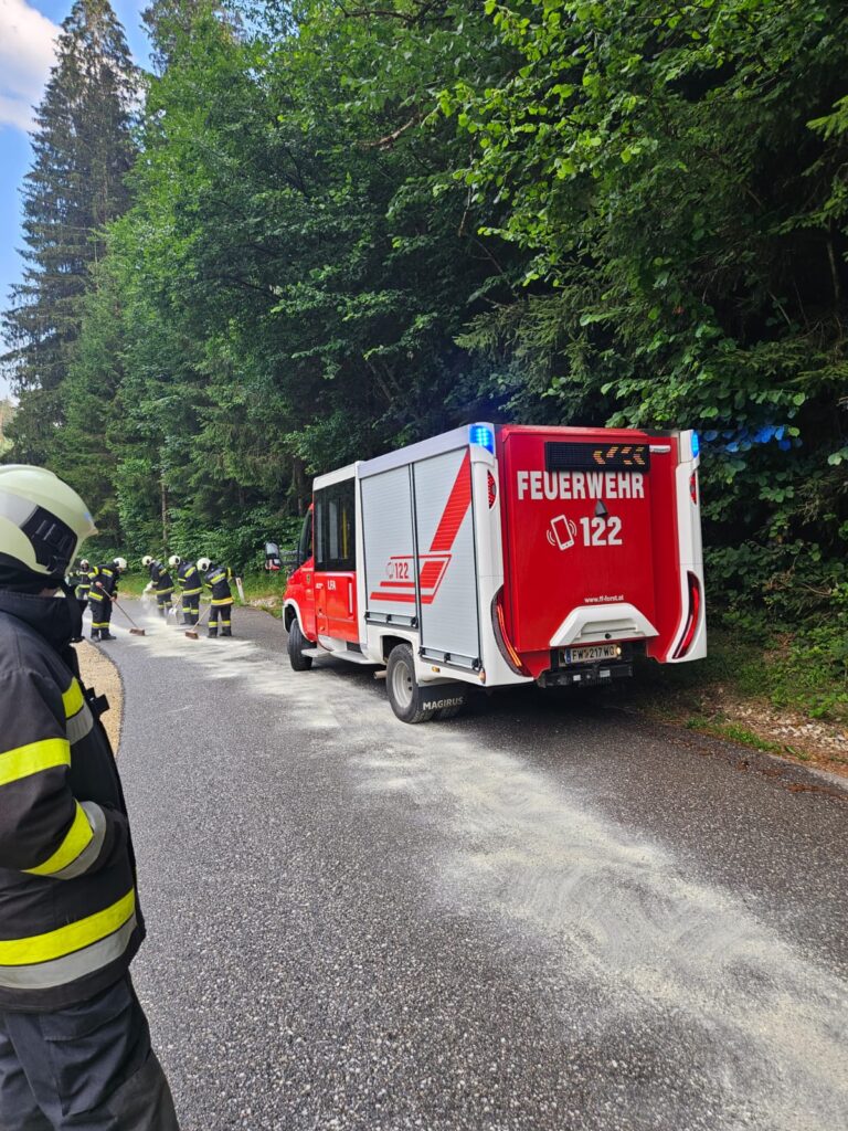 Schadstoffeinsatz in Witra