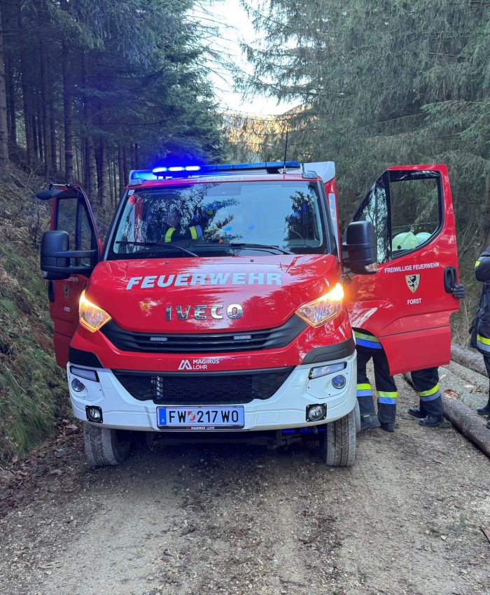 Eingeklemmte Person nach Forstunfall gerettet