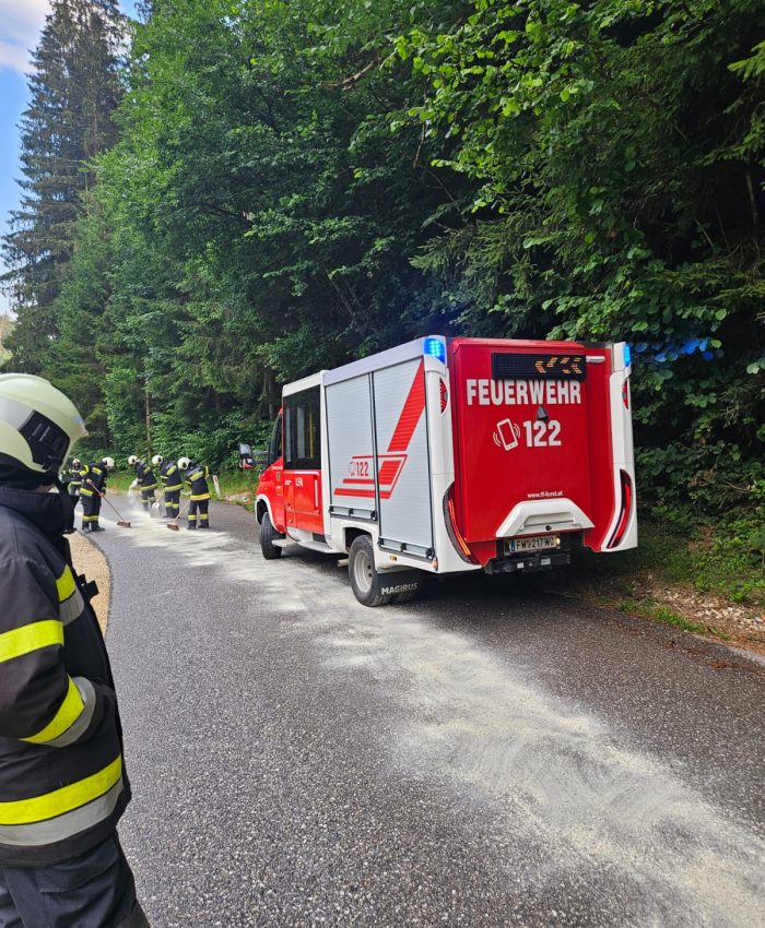 Schadstoffeinsatz in Witra
